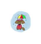 おしゃれ大好きダックスフンドちゃん。（個別スタンプ：24）