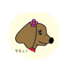おしゃれ大好きダックスフンドちゃん。（個別スタンプ：28）