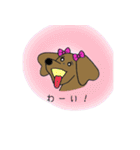 おしゃれ大好きダックスフンドちゃん。（個別スタンプ：29）
