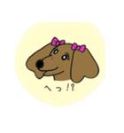 おしゃれ大好きダックスフンドちゃん。（個別スタンプ：32）