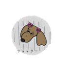 おしゃれ大好きダックスフンドちゃん。（個別スタンプ：34）