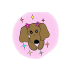おしゃれ大好きダックスフンドちゃん。（個別スタンプ：35）