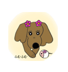 おしゃれ大好きダックスフンドちゃん。（個別スタンプ：36）