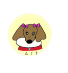 おしゃれ大好きダックスフンドちゃん。（個別スタンプ：37）