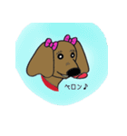 おしゃれ大好きダックスフンドちゃん。（個別スタンプ：39）