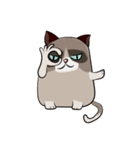 Grumpy Cute Cat（個別スタンプ：8）