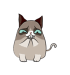 Grumpy Cute Cat（個別スタンプ：18）