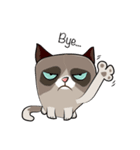 Grumpy Cute Cat（個別スタンプ：40）