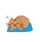 生意気な猫くん（個別スタンプ：25）