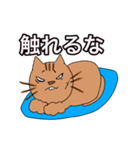 生意気な猫くん（個別スタンプ：38）