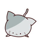 Veg out Cat（個別スタンプ：17）