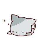 Veg out Cat（個別スタンプ：25）