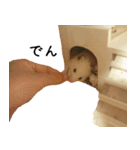 金太（個別スタンプ：33）
