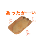 金太（個別スタンプ：40）