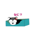 チワワ犬 そらの気持ち（個別スタンプ：19）