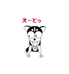 チワワ犬 そらの気持ち（個別スタンプ：32）