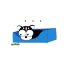 チワワ犬 そらの気持ち（個別スタンプ：39）