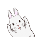 Adorable White Rabbit（個別スタンプ：1）