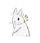 Adorable White Rabbit（個別スタンプ：4）