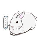 Adorable White Rabbit（個別スタンプ：10）