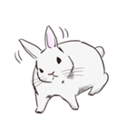 Adorable White Rabbit（個別スタンプ：11）