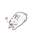Adorable White Rabbit（個別スタンプ：14）
