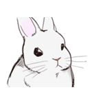 Adorable White Rabbit（個別スタンプ：16）