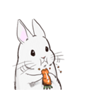 Adorable White Rabbit（個別スタンプ：17）