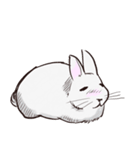 Adorable White Rabbit（個別スタンプ：18）