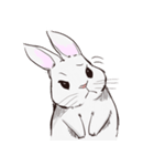 Adorable White Rabbit（個別スタンプ：22）