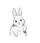 Adorable White Rabbit（個別スタンプ：23）