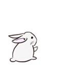 Adorable White Rabbit（個別スタンプ：24）