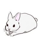Adorable White Rabbit（個別スタンプ：26）