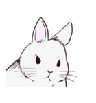 Adorable White Rabbit（個別スタンプ：28）