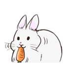 Adorable White Rabbit（個別スタンプ：32）