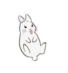 Adorable White Rabbit（個別スタンプ：33）