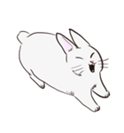 Adorable White Rabbit（個別スタンプ：35）