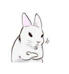 Adorable White Rabbit（個別スタンプ：40）