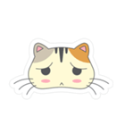 Cat Querulous（個別スタンプ：2）