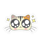 Cat Querulous（個別スタンプ：5）