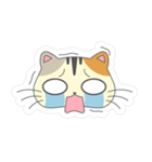 Cat Querulous（個別スタンプ：6）