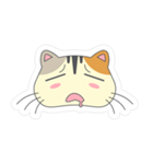Cat Querulous（個別スタンプ：8）