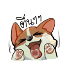 Cody Diary（個別スタンプ：1）