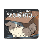 Cody Diary（個別スタンプ：7）