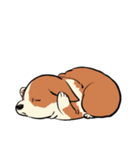 Cody Diary（個別スタンプ：12）