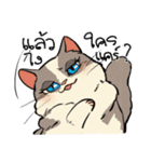 Cody Diary（個別スタンプ：19）