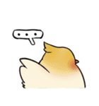 Cody Diary（個別スタンプ：20）