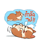 Cody Diary（個別スタンプ：32）