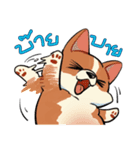 Cody Diary（個別スタンプ：40）