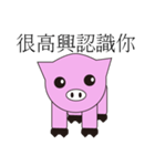 PinkPiggy（個別スタンプ：1）